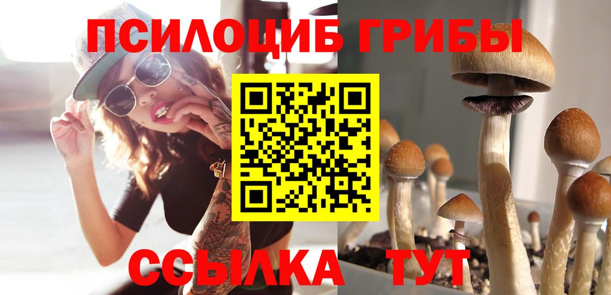 Галлюциногенные грибы Psilocybe  Галлюциногенные грибы MAGIC MUSHROOMS  Зерноград  Вход с VPN 